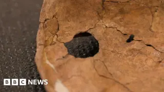 75,000-Year-Old Shoulder Hole Suggests Neanderthals Used Lethal Wooden Spears