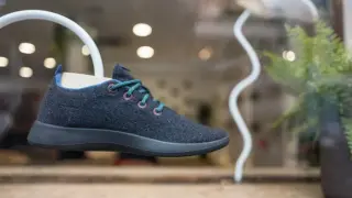 Allbirds pivots to AI infrastructure, eyes NewBird AI branding