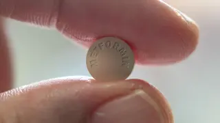 Metformin's brain action unveiled: Rap1 in the hypothalamus lowers blood sugar