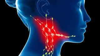 Neck Lymph Nodes May Gate the Brain's Aging Process