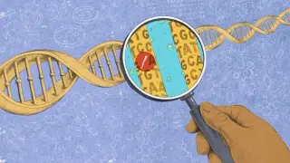 The Complex Recipe of Personality: Genes Meet Life Experience