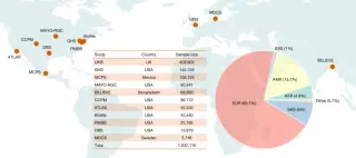 FNIP1 genetic variants linked to favorable metabolism in a million people