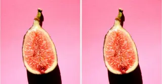 Aging and the Clitoris: Debunking the Viral Myth About Women’s Anatomy