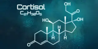 Ketamine's morning cortisol rise parallels rapid relief from suicidal thoughts in depression