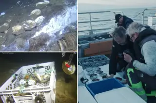 Untouched 18th-Century Cargo Emerges from Norwegian Shipwreck