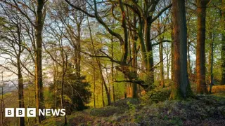 Attenborough's 100th birthday sparks 11 nature recovery zones across Gloucestershire