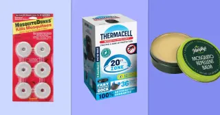 Tackle Mosquitoes at the Source With Expert-Backed Home Solutions