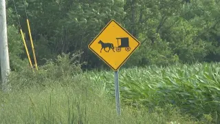 Fultonville rabies case prompts costly county response