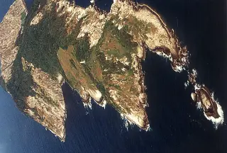 Brazil’s Snake Island: A venomous, off-limits haven for researchers