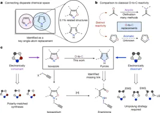 O-to-C Skeletal Editing Bridges Isoxazoles to Pyrroles in One Pot