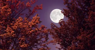 Hunter’s Moon in Taurus Peaks Oct 26, Highlighting Financial Caution and Inner Stability