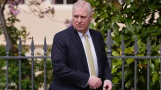 Mountbatten-Windsor Challenges Lawfulness of Epstein-Linked Arrest in UK Court
