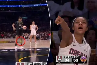 Green sex toy disrupts WNBA game as suspect flees court
