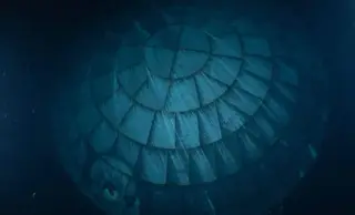 Navy Divers Capture Pristine Artemis II Heat Shield After Pacific Splashdown