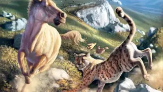 Ancient DNA Reframes North America's 'American Cheetah' as a Puma Relative
