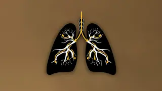 Wildfire Smoke: Tiny Particles, Big Health Risks for Lungs