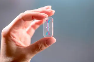 Chips carrying Artemis II astronauts’ cells map spaceflight’s effect on human biology