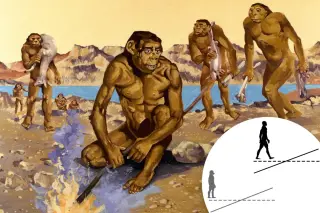 Meat-Driven Growth Spurts Shaped Early Humans, Study Finds