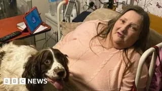 Bristol's AI Companions Offer Friendship to Lonely Older Adults
