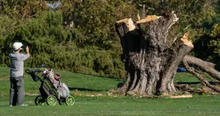 Judge Reyes Halts D.C. Golf Course Renovation After Credibility Clash
