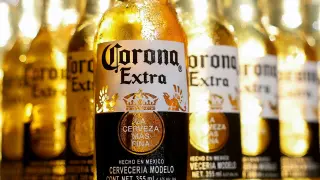 Constellation Brands Beats Estimates but Beer Demand Lags Amid Fuel Costs
