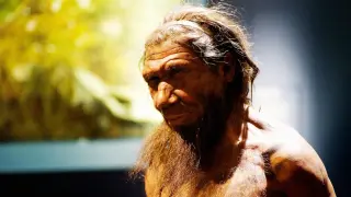 Travertine Molds Reveal Neanderthal Woodworking Mastery at Abric Romaní