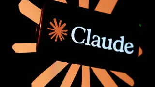 Claude AI chat links exposed via Google indexing prompt privacy review