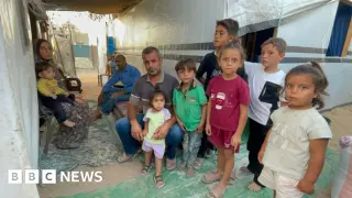WFP slashes Gaza food aid by 30% as funding crisis deepens