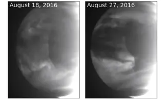 Venus’s 6,000-km Wave Explained by the Solar System’s Largest Hydraulic Jump