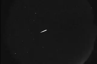 Orionid Meteor Shower Peaks Oct 21-22: Best Viewing After Moonset