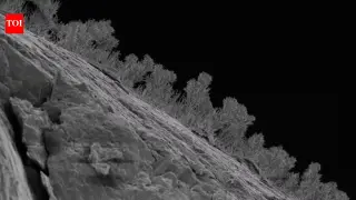 Michigan's Deep Subsurface Blooms with 689 Fungal Species from 11,000-Year-Old Water
