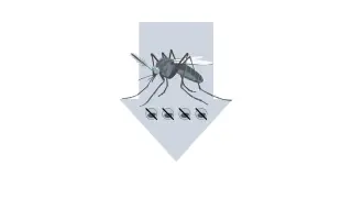Google backs large-scale sterile-mosquito release to curb West Nile in CA and FL