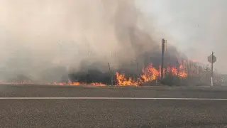 Oregon faces sweeping evacuations as wildfires scorch the state