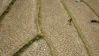 Record-Breaking El Niño Shatters Temperature Benchmarks, Forecasting 451,000 Heat Deaths by February