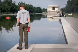 Pool Repair Saga Tests NPS Credibility