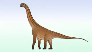Diminutive Middle Jurassic Sauropod Discovered in India Expands Early Neosauropod Range