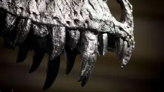 Tooth-based study pins T. rex as a warm-blooded predator at about 97°F