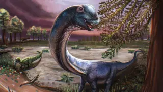 Thai fossil reveals Nagatitan chaiyaphumensis, Southeast Asia's largest long-necked dinosaur
