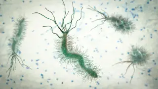 Infections Drive 12% of Global Cancers, with Five Pathogens Responsible for 2.3 Million Cases
