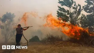 Borneo Haze Crisis: 277,000 Respiratory Cases and Firefighter Fatalities in Indonesia