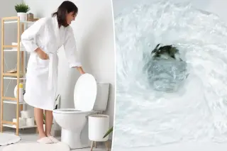 Toilet Flushes Send Microbes Flying, New Review Finds