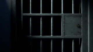 Boebert's Son Faces Multiple Felony Charges Over Child Exploitation Allegations