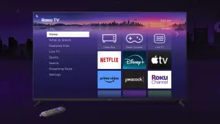 Class Action Alleges Roku and TCL Bricked TVs Through Faulty Updates