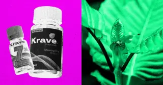 DEA Targets Kratom's Potent Additive: Temporary Schedule I Plan for 7-OH