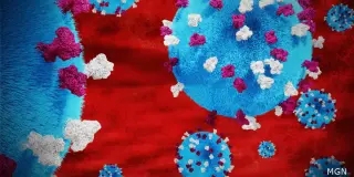 Kentucky Measles Outbreak Surges to 104 Cases as Laurel County Reports Seven New Infections