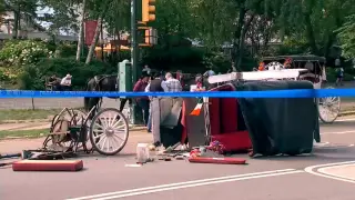 Central Park carriage horse breaks loose, tourist killed
