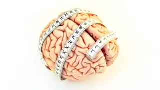 Midlife TV binge may foreshadow later brain changes, USC study finds