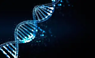 Bacteria Survive on 19 Amino Acids in Ribosomes for 450 Generations