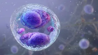 Michigan reports first cyclosporiasis deaths as outbreak tops 11,000