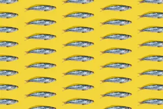 Sardines Go Viral as a Budget-Friendly Health Hack